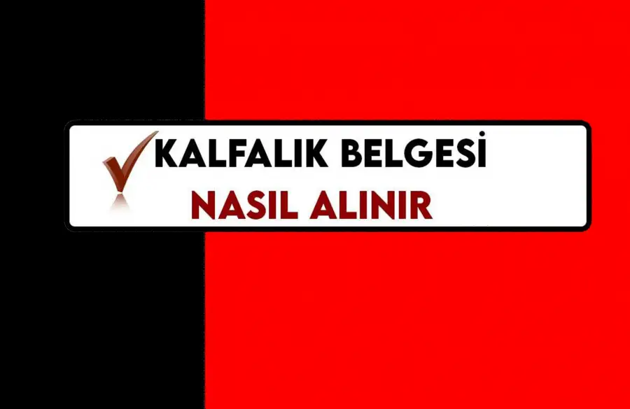 Kalfalık 16. Madde Belgesi Olanlar